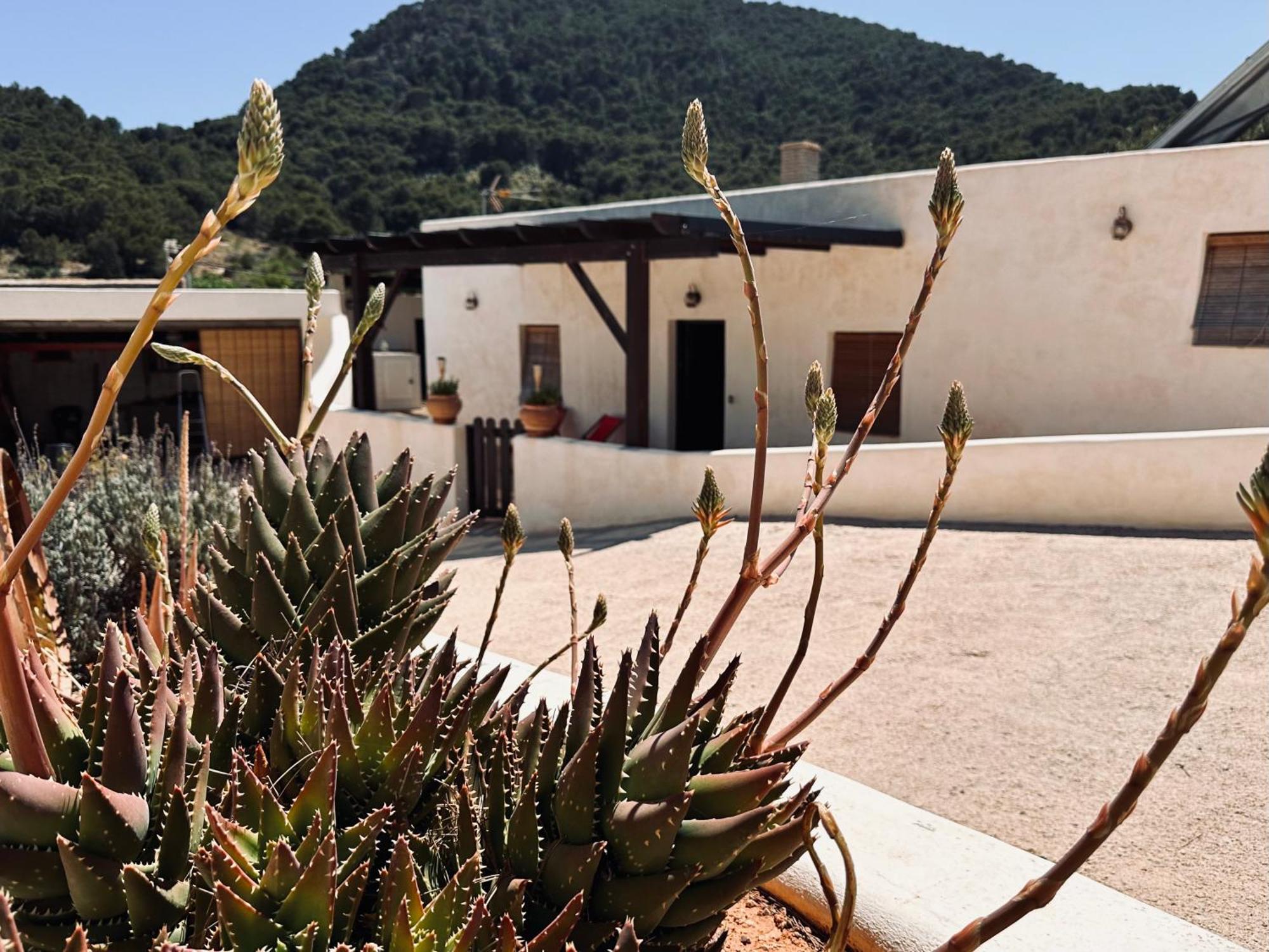 Finca Ocha - Calblanque Los Belones Extérieur photo